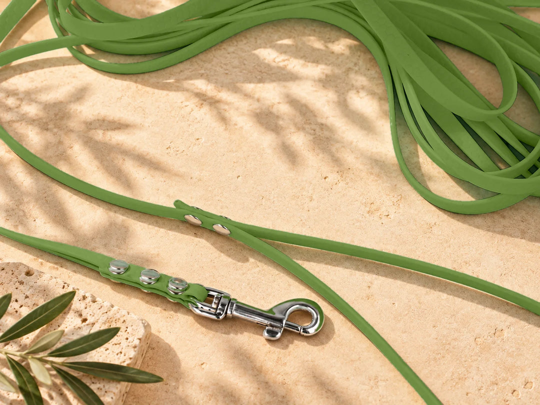 Hexa Schleppleine Olivgrün, ausgelegt, Detail Karabiner auf Stein – Exceptional