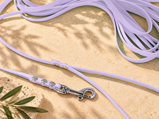 Hexa Schleppleine Pastell-Lavendel, ausgelegt, Detail Karabiner auf Stein – Exceptional