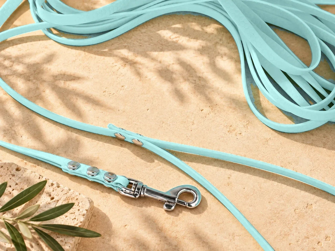 Hexa Schleppleine Pastellblau, ausgelegt, Detail Karabiner auf Stein – Exceptional