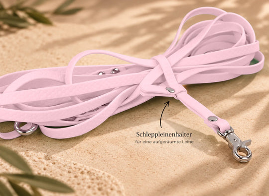 Hexa Schleppleine Pastellrosa, aufgerollt mit Schleppleinenhalter auf Sand – Exceptional