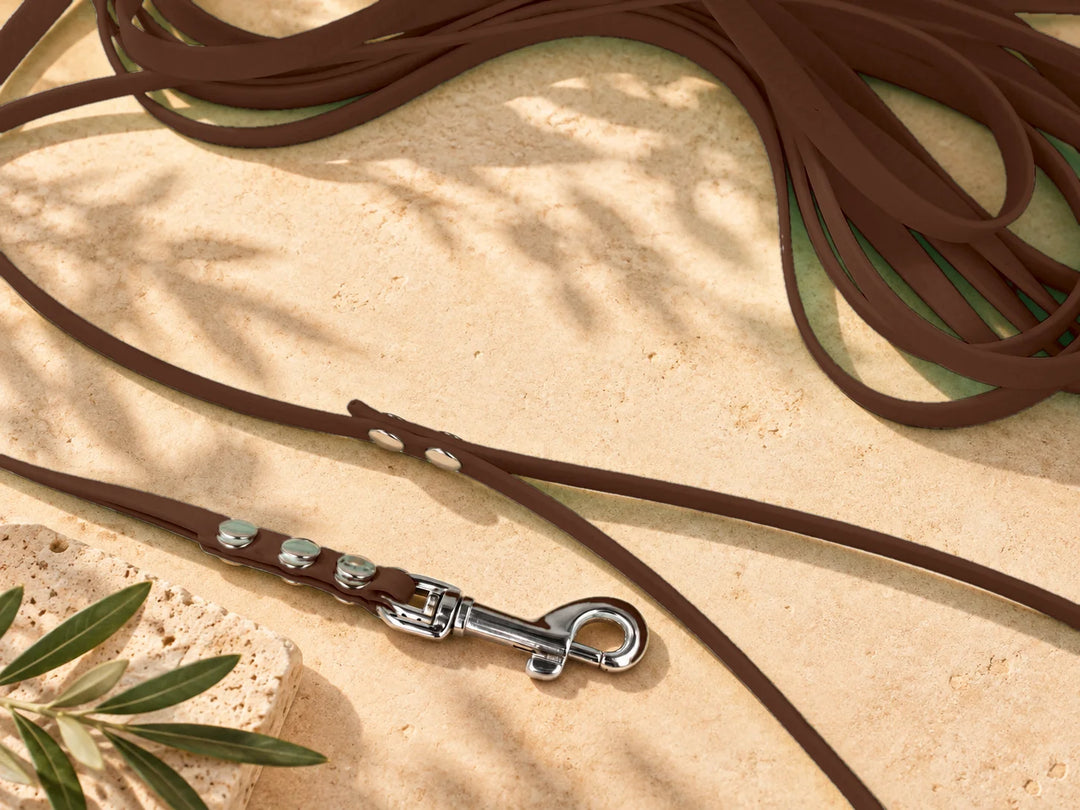 Hexa Schleppleine Schokoladenbraun, ausgelegt, Detail Karabiner auf Stein – Exceptional
