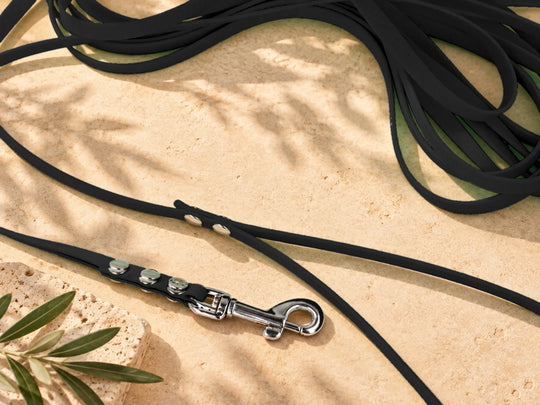 Hexa Schleppleine Schwarz, ausgelegt, Detail Karabiner auf Stein – Exceptional
