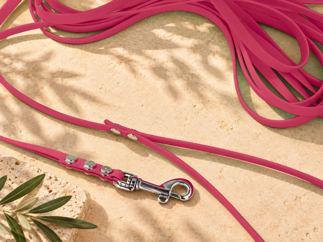 Hexa Schleppleine Viva Magenta, ausgelegt, Detail Karabiner auf Stein – Exceptional