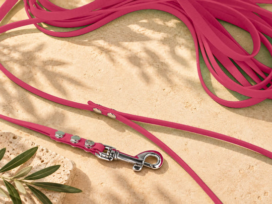 Hexa Schleppleine Viva Magenta, ausgelegt, Detail Karabiner auf Stein – Exceptional