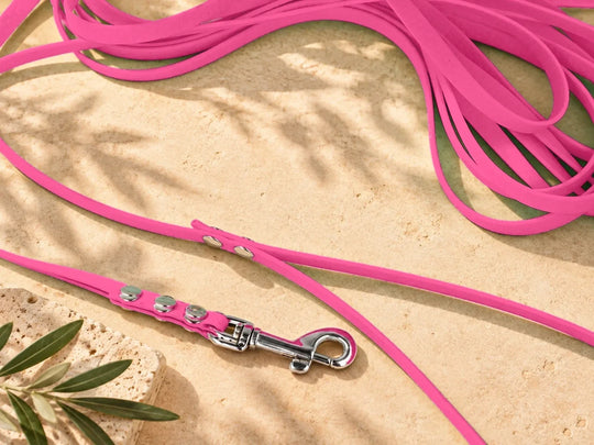 Hexa Schleppleine Viva Magenta, ausgelegt, Detail Karabiner auf Stein – Exceptional