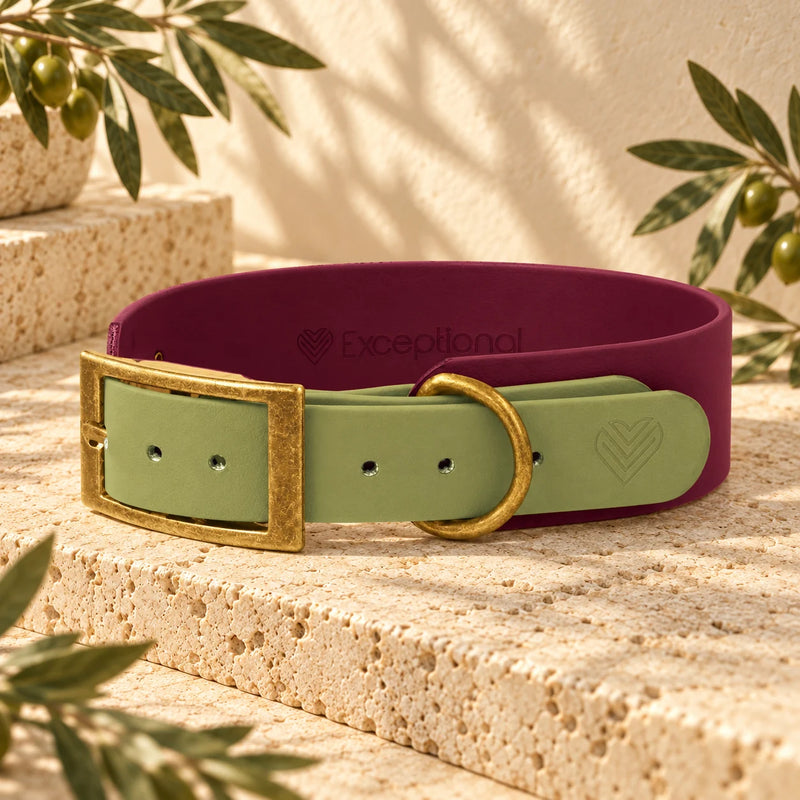 BioThane Halsband Château Verde mit Exceptional-Prägung, Bordeaux und Pistazie, Beschläge in Messing