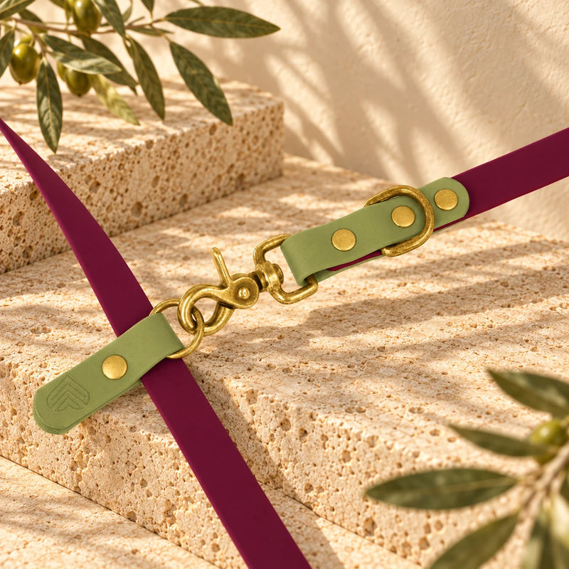 Detail der BioThane Hundeleine Château Verde: Karabiner in Messing am O-Ring - Exceptional