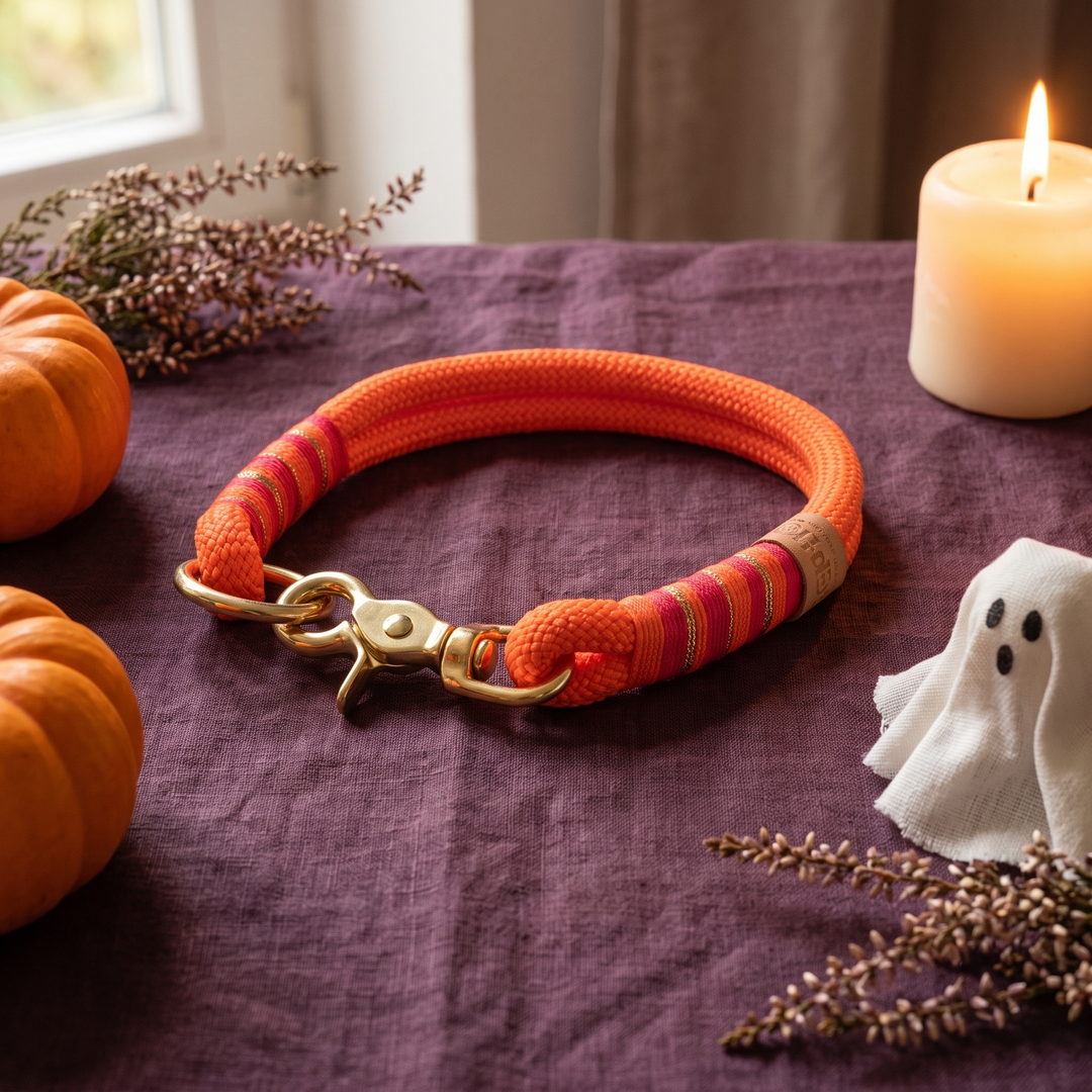 Tauhalsband 'Fuego Ibiza' – Halloween-Edition, Exceptional