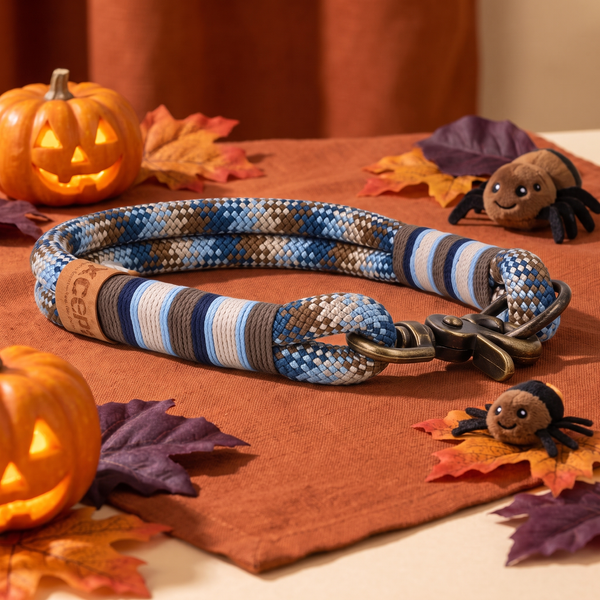 Tauhalsband 'Porto Antico' – Halloween-Edition, Exceptional