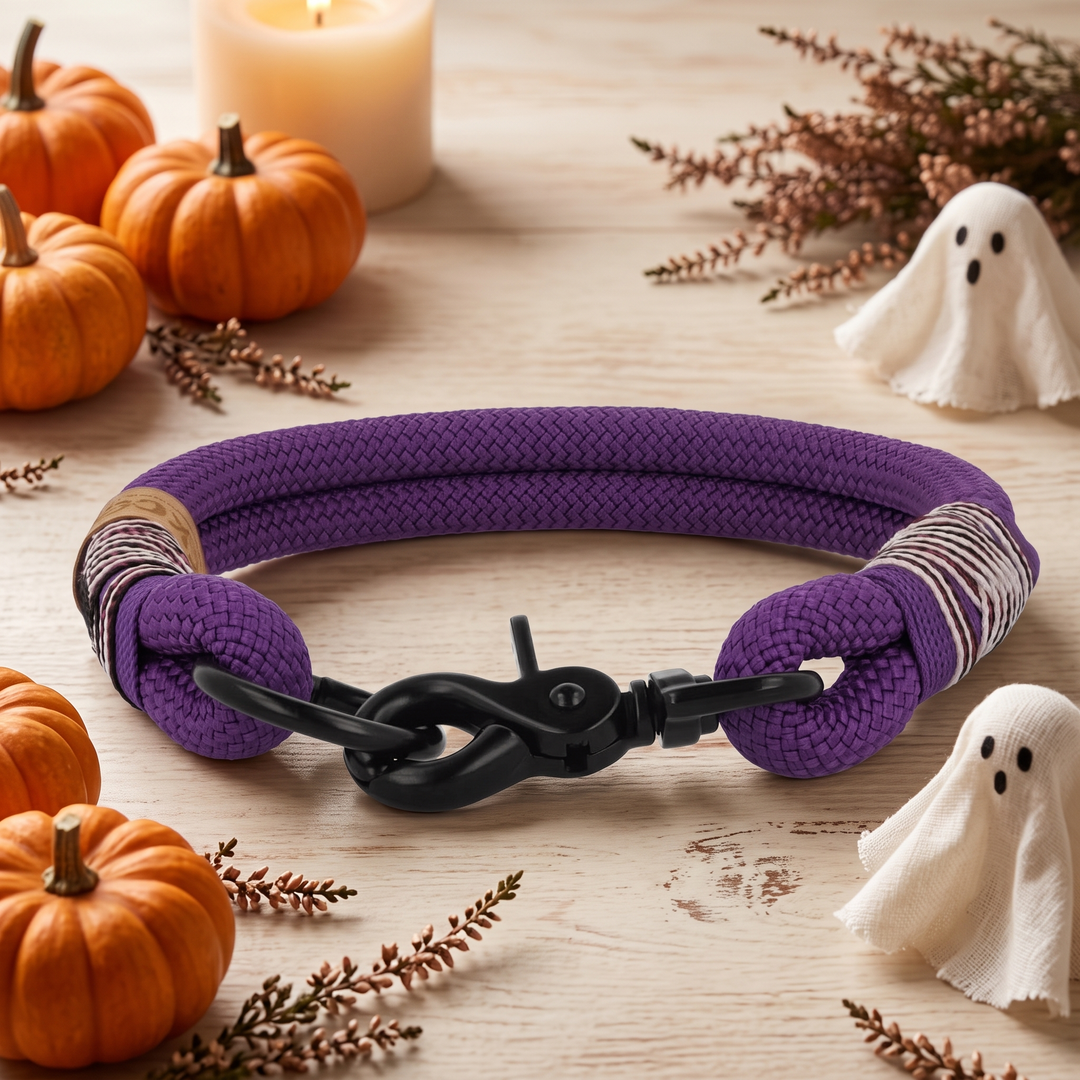 Tauhalsband 'Purple Grape' – Halloween-Edition, Exceptional
