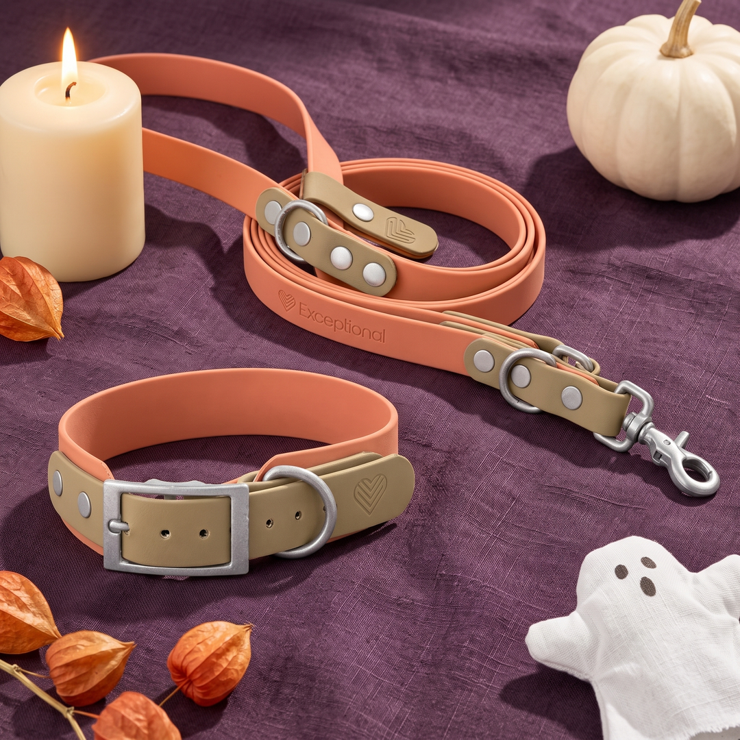 Set 'Moonstone Peach' – BioThane® Halsband und Leine, Halloween-Edition, Exceptional