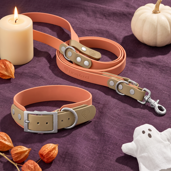 Set 'Moonstone Peach' – BioThane® Halsband und Leine, Halloween-Edition, Exceptional