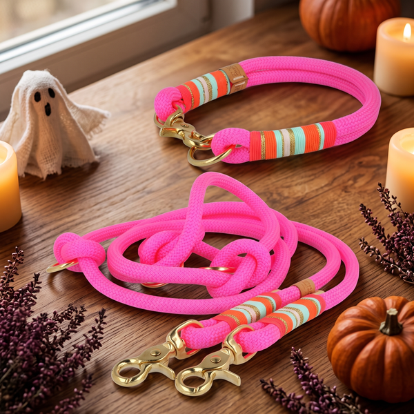 Set 'Corazón Libre' – Tauhalsband und Tauleine, Halloween-Edition, Exceptional