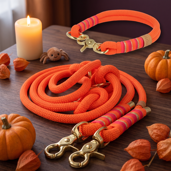 Set 'Fuego Ibiza' – Tauhalsband und Tauleine, Halloween-Edition, Exceptional