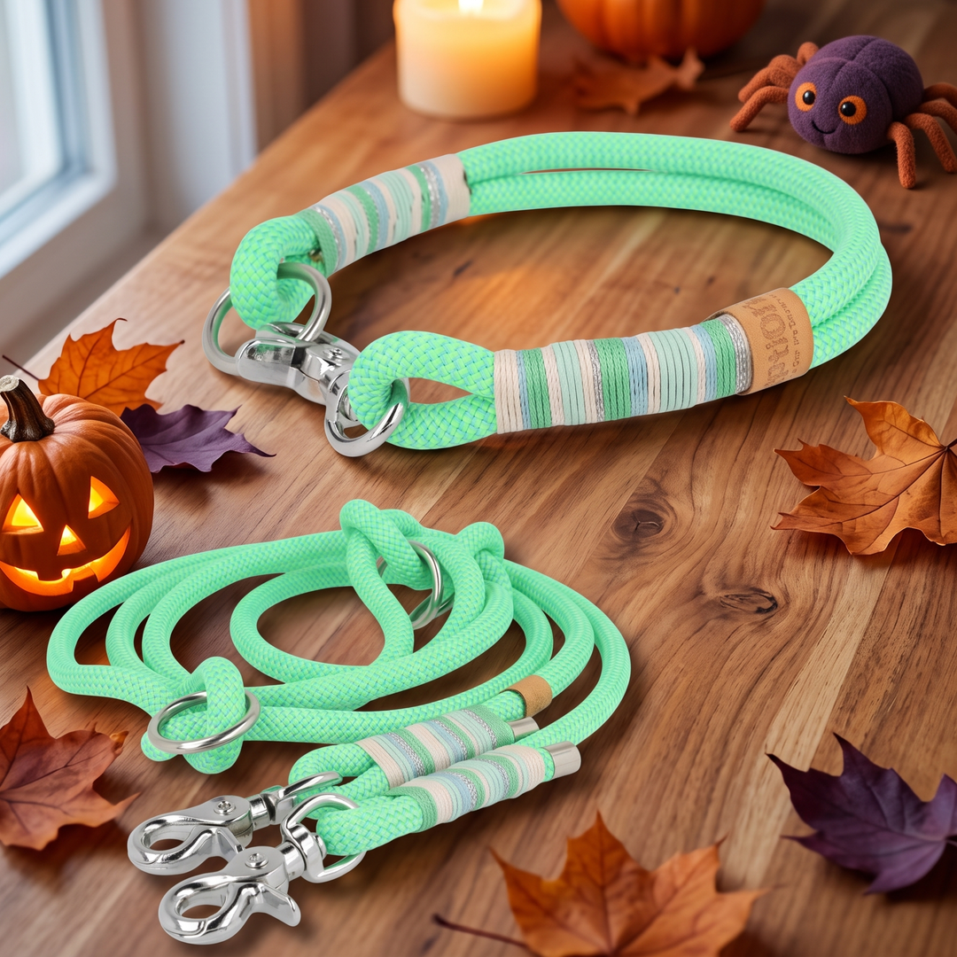 Set 'Isla Verde' – Tauhalsband und Tauleine, Halloween-Edition, Exceptional