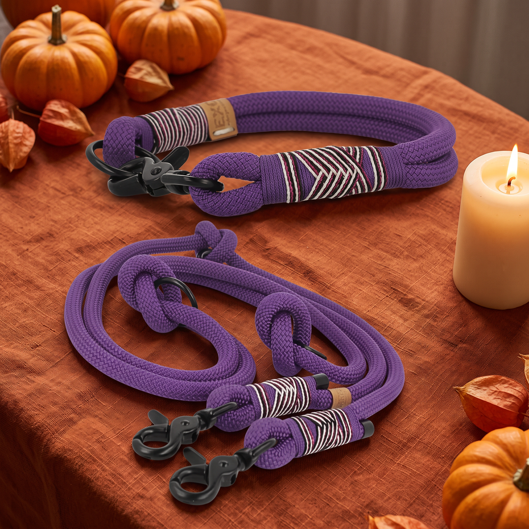 Set 'Purple Grape' – Tauhalsband und Tauleine, Halloween-Edition, Exceptional