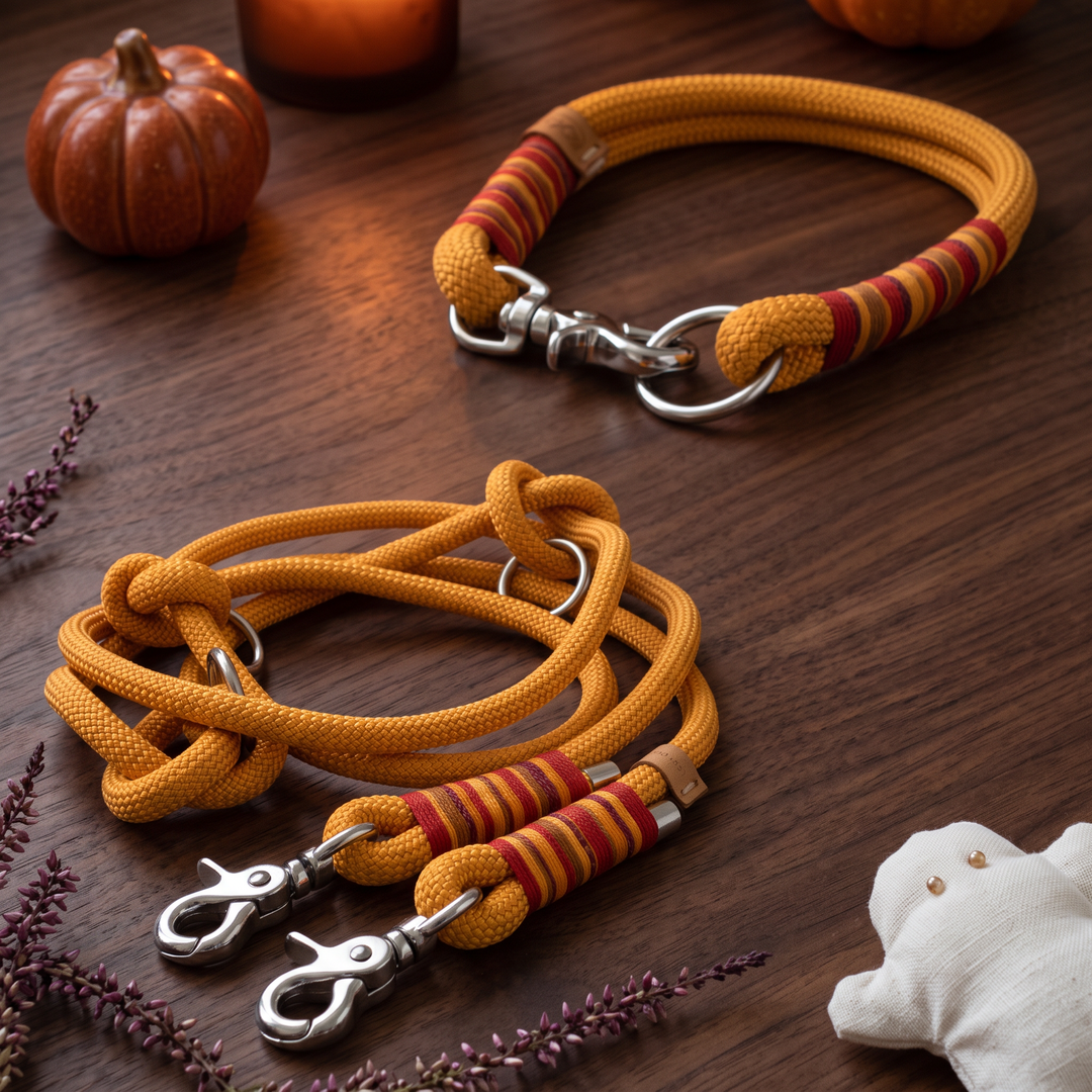 Set 'Sunkissed Shells' – Tauhalsband und Tauleine, Halloween-Edition, Exceptional