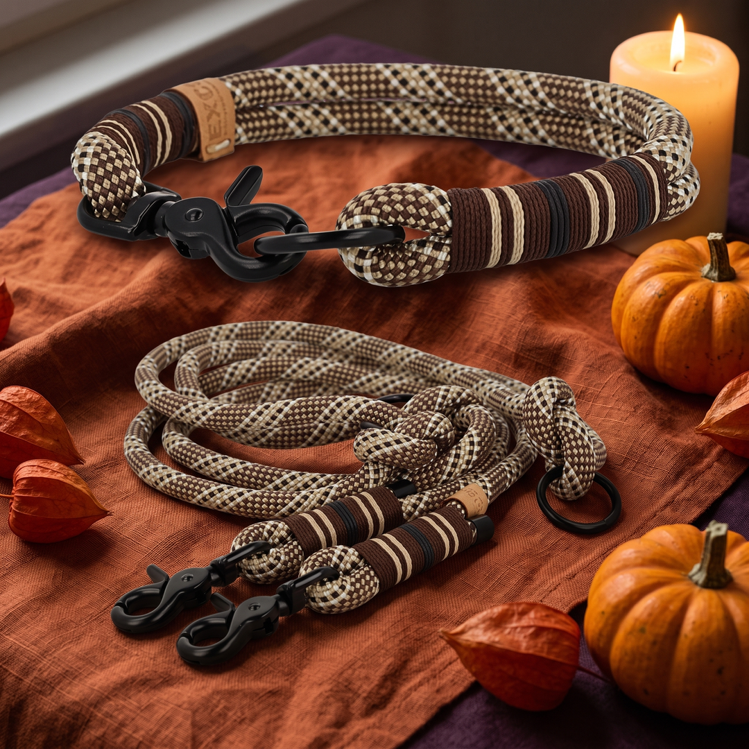 Set 'Walnut Noir' – Tauhalsband und Tauleine, Halloween-Edition, Exceptional
