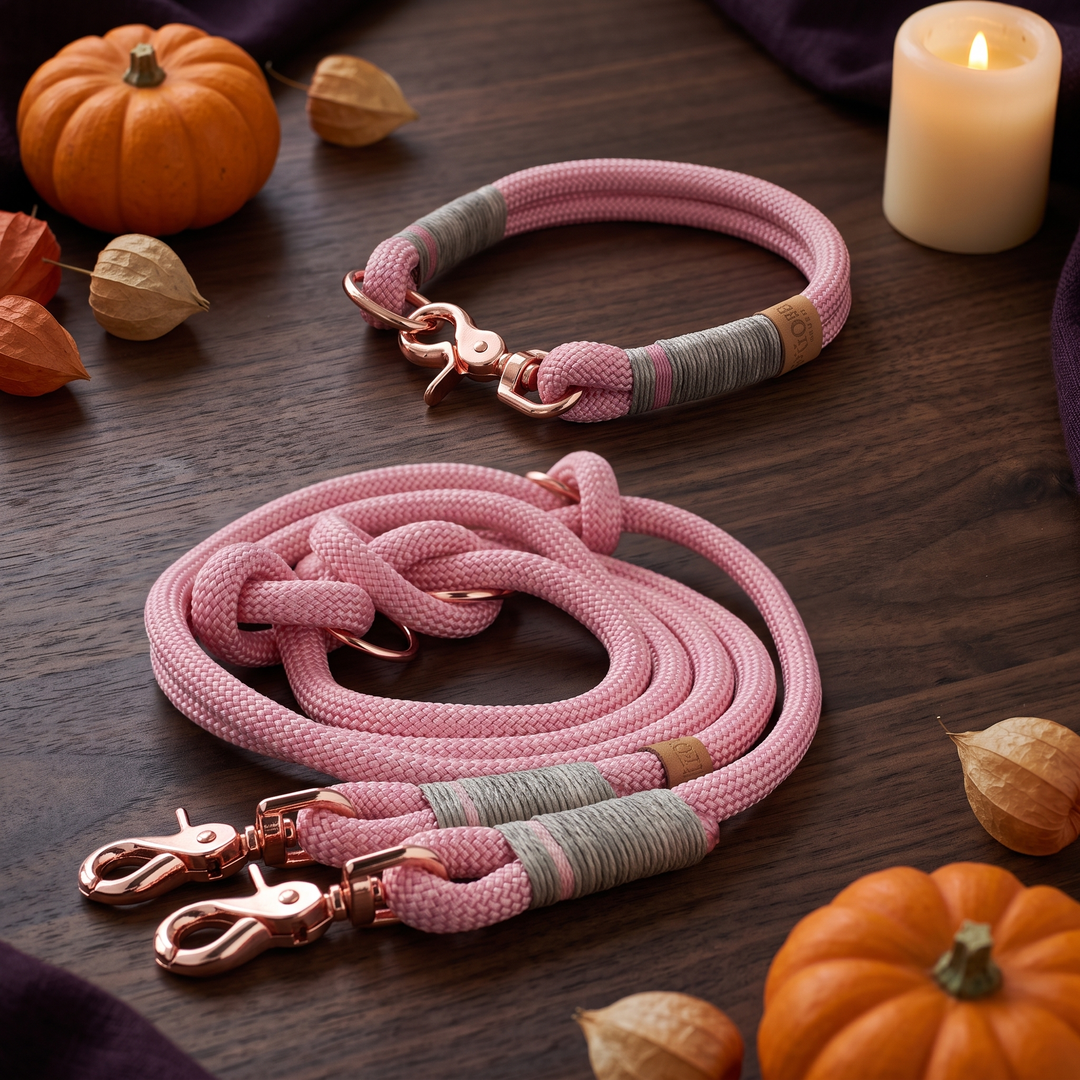 Set 'Whispering Rosé' – Tauhalsband und Tauleine, Halloween-Edition, Exceptional