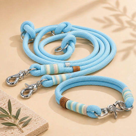 Set | Tauhalsband und Leine 'Bahía'
