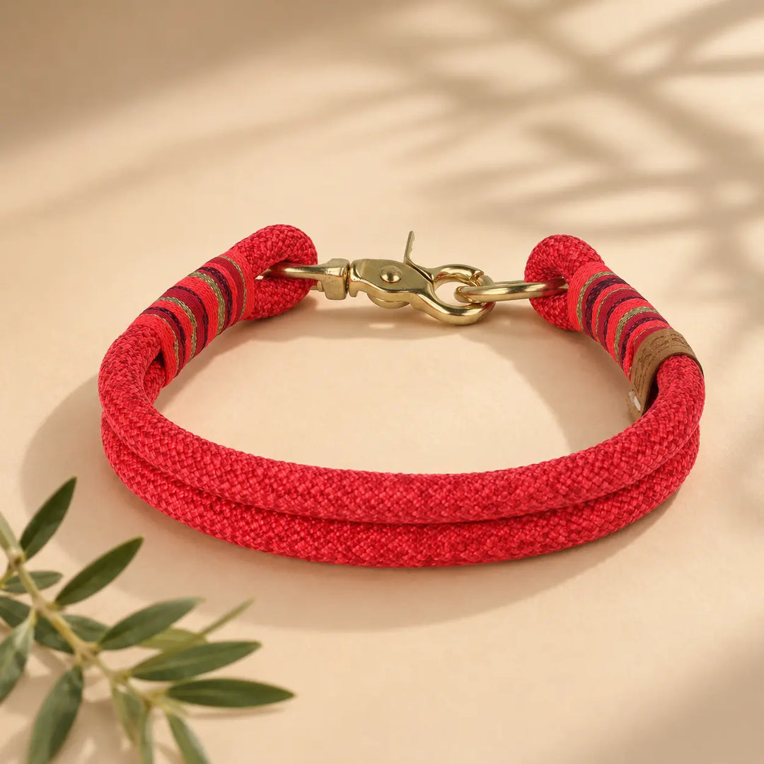 Set | Tauhalsband und Tauleine 'Coral Crush'
