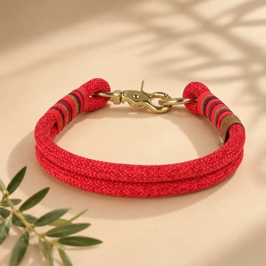 Set | Tauhalsband und Tauleine 'Coral Crush'