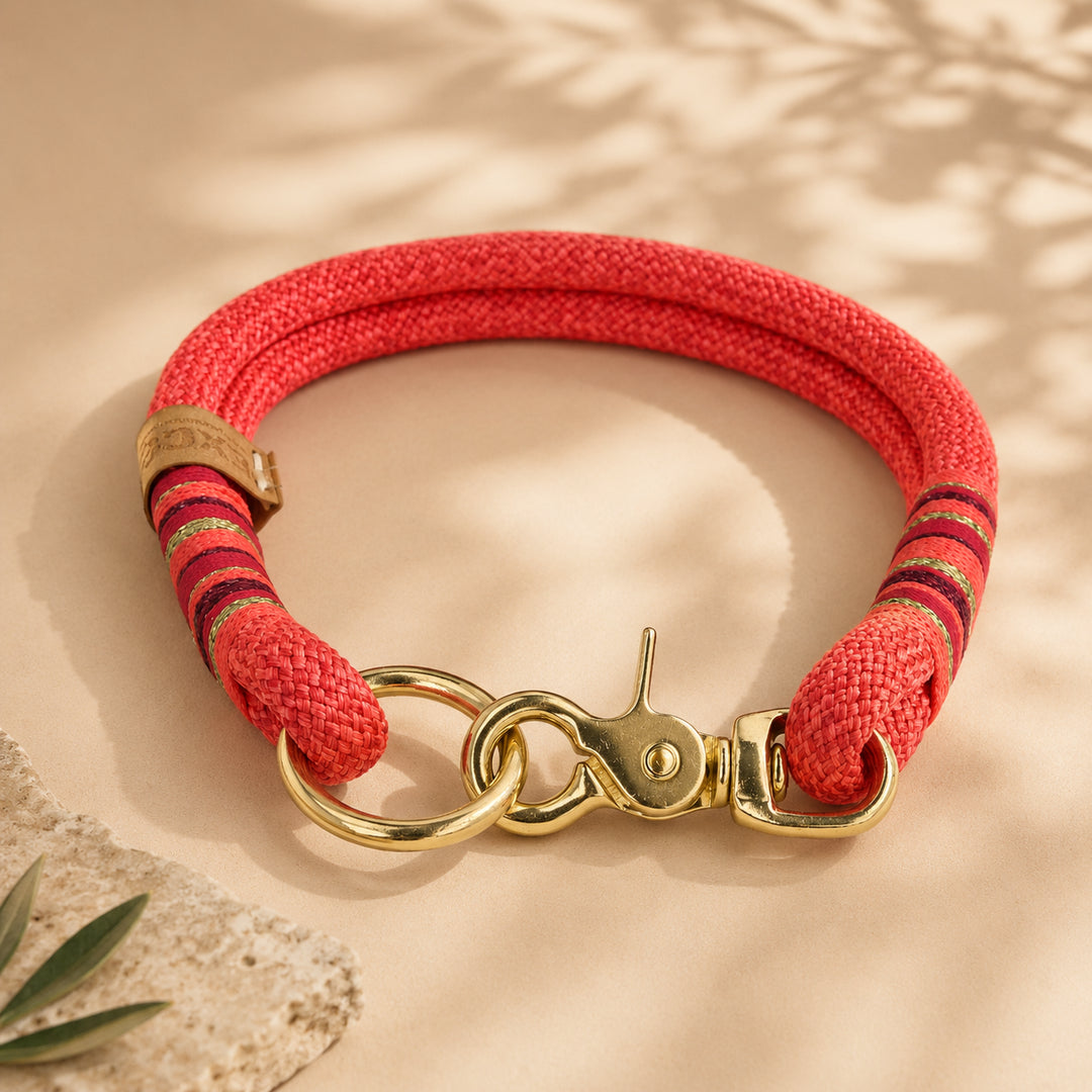 Set | Tauhalsband und Tauleine 'Coral Crush'
