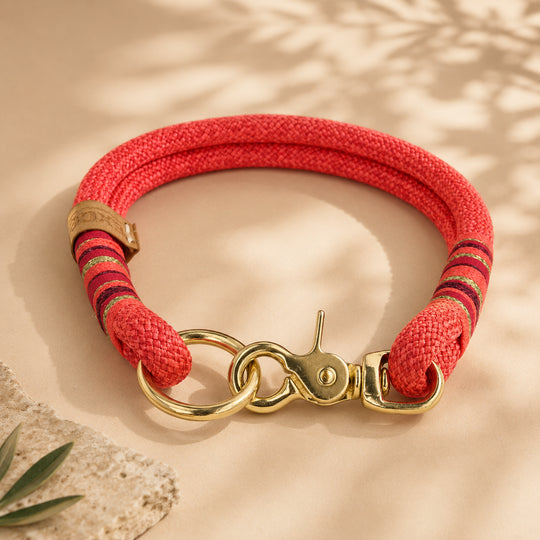 Set | Tauhalsband und Tauleine 'Coral Crush'