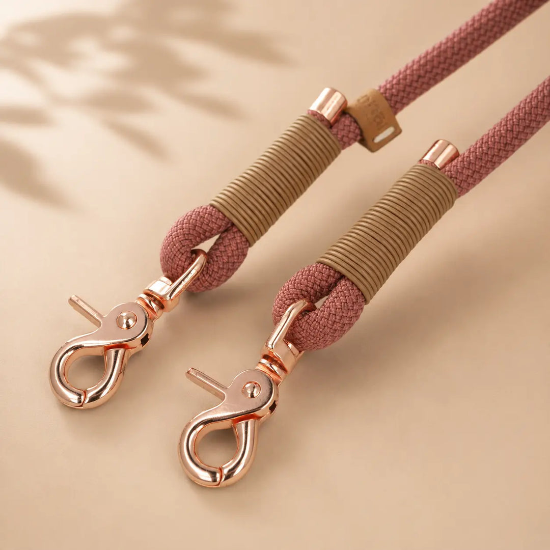 Set | Tauhalsband und Tauleine 'Luxe Amour'