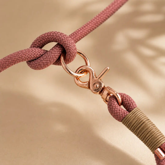 Set | Tauhalsband und Tauleine 'Luxe Amour'