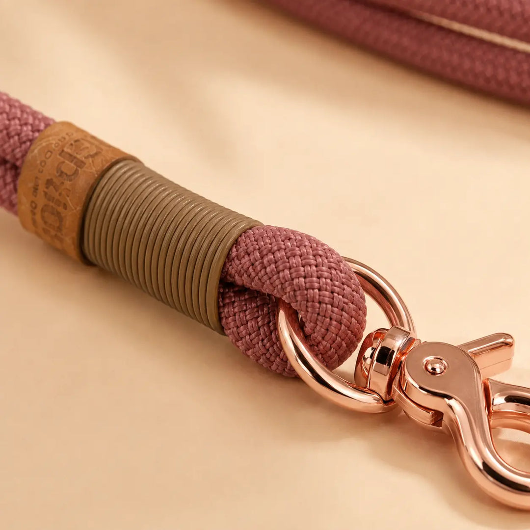 Set | Tauhalsband und Tauleine 'Luxe Amour'