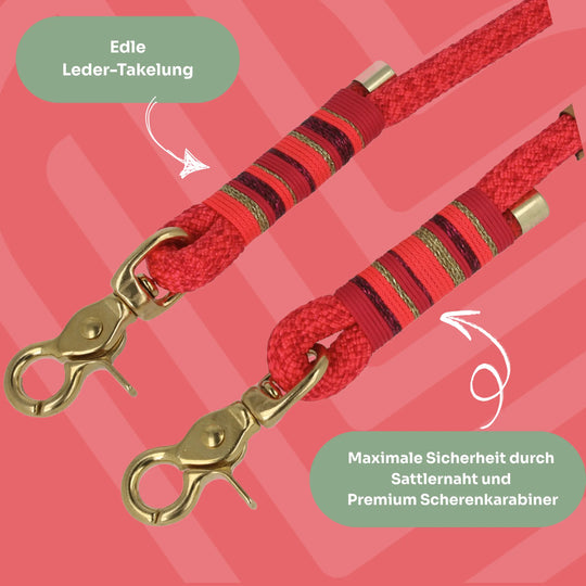 Set | Tauhalsband und Tauleine 'Coral Crush'