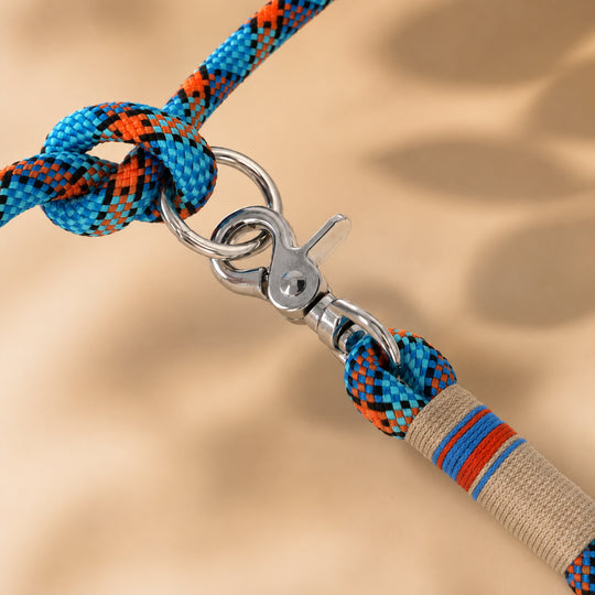 Set | Tauhalsband und Leine 'Eisvogel'