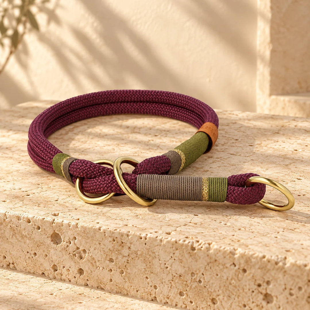 Tauleine 'Weinberglicht' – Karabiner in Messing Gold und Takelung im Detail, Exceptional