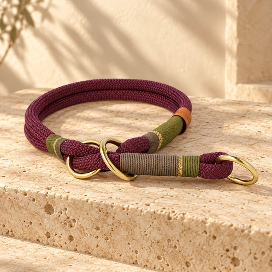 Tauleine 'Weinberglicht' – Karabiner in Messing Gold und Takelung im Detail, Exceptional