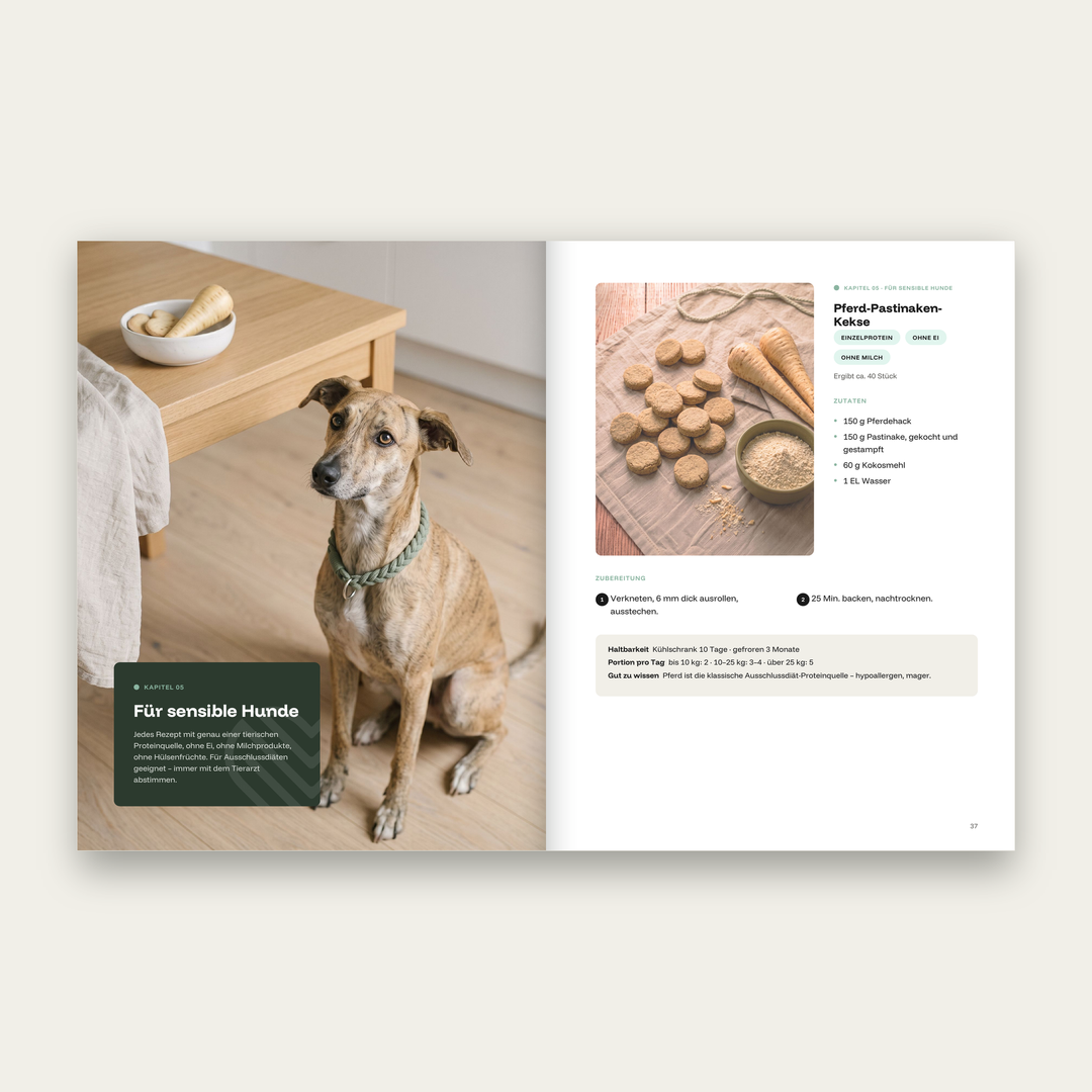 Hundebackbuch Ofenglück – Blick ins Buch: Kapitel Für sensible Hunde mit Rezept Pferd-Pastinaken-Kekse – Exceptional