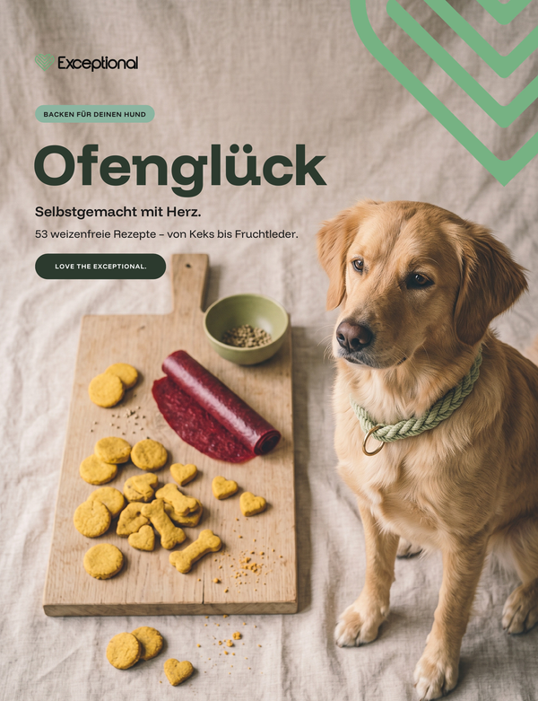 Ofenglück – Das Hundebackbuch mit 53 Rezepten für Hundekekse & Snacks