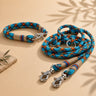 Set | Tauhalsband und Leine 'Eisvogel'