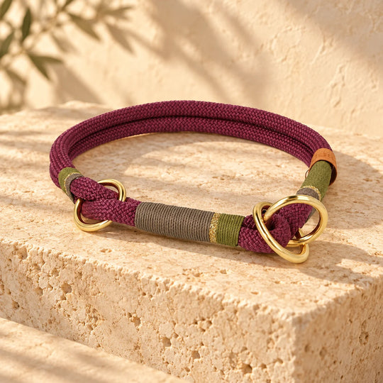Zugstopp-Halsband 'Weinberglicht' in Beerenrot mit Wicklung in Oliv und Taupe, Ringe in Messing Gold – Seitenansicht, Exceptional