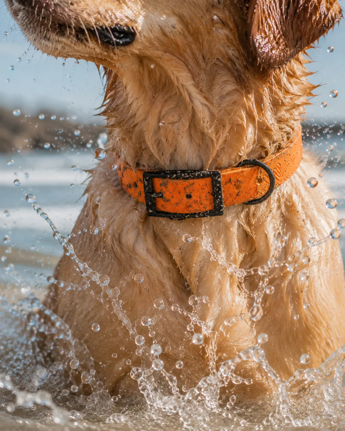 Exceptional BioThane® Halsband – handgefertigte Hundehalsbänder aus BioThane®