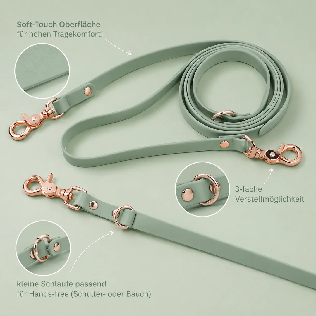 Hundeleine aus Premium-Biothane®