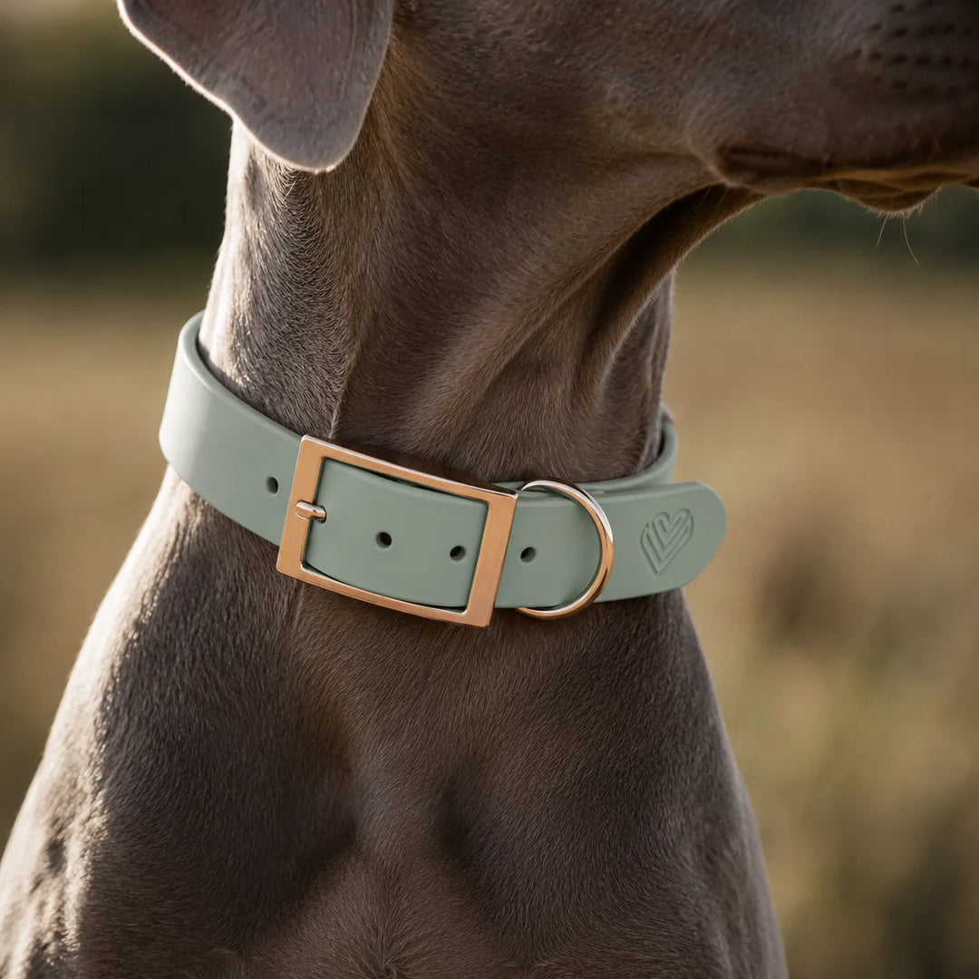 BioThane® Halsband