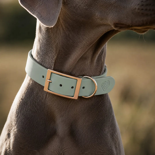 BioThane® Halsband