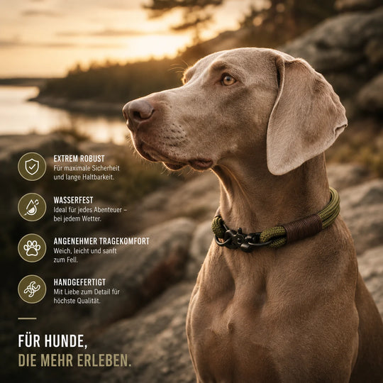 Set | Halsband und Leine aus Tau x BioThane® 'Olive Wildcat'