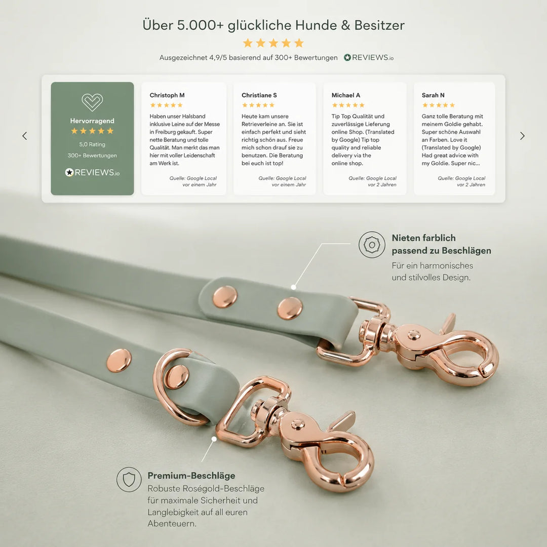 Hundeleine aus Premium-Biothane®