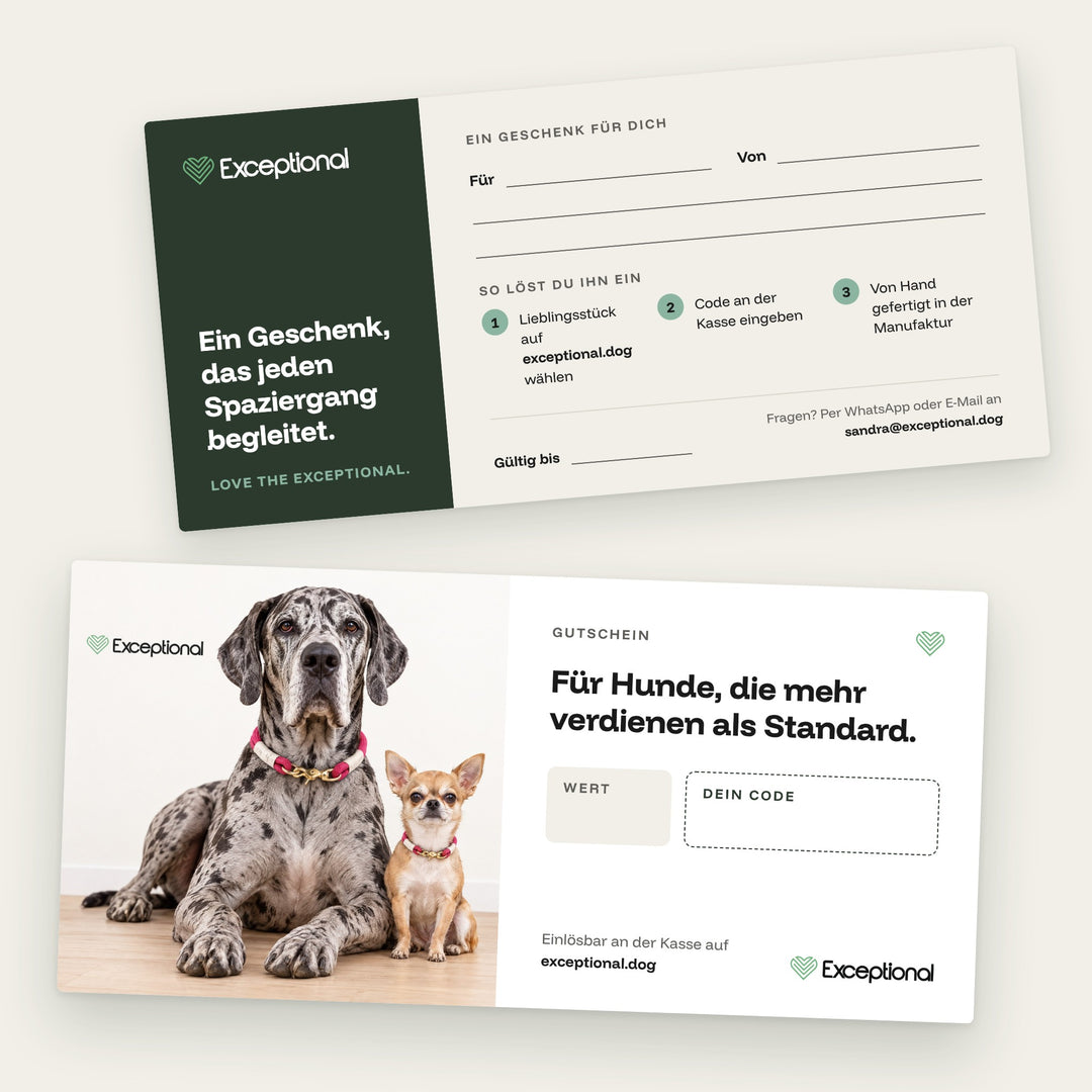 Geschenkgutschein von Exceptional – Vorder- und Rückseite mit Deutscher Dogge und Chihuahua mit Tauhalsbändern