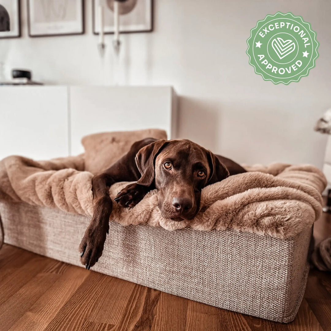 Hundebett Buddelbox Beige Exceptional - Manufaktur mit Herz