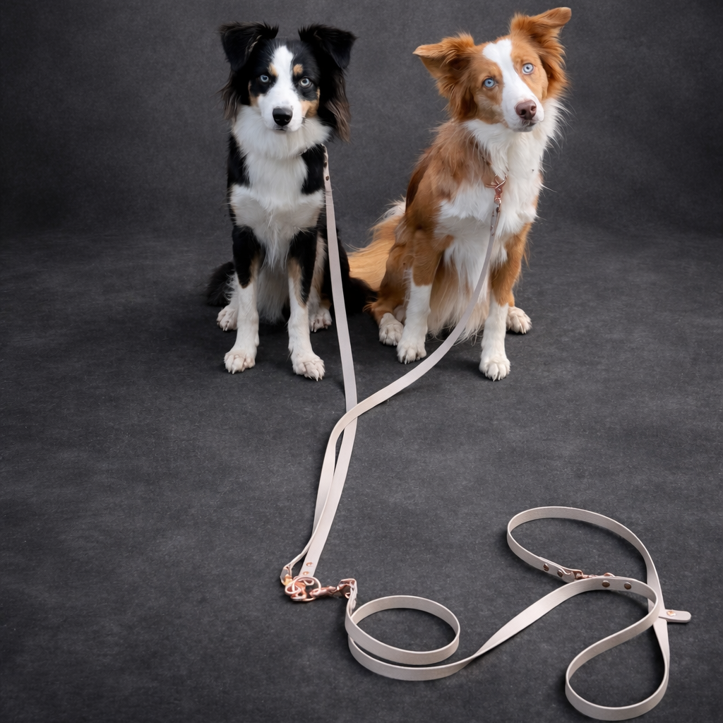 Verbindungsteil aus BioThane® für 2 Hunde an einer Leine  (1 Stück) - Koppelstück │ Koppelleine