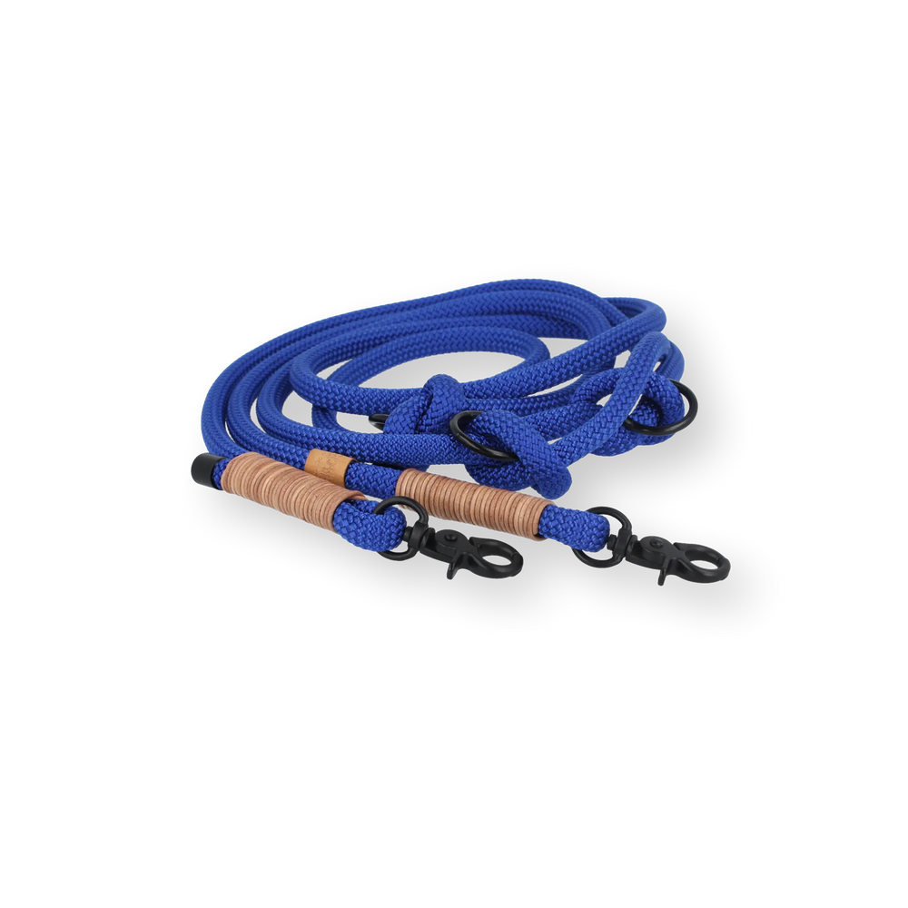 Set small | Tauhalsband und Leine 'Blue Spirit' Exceptional - Manufaktur mit Herz