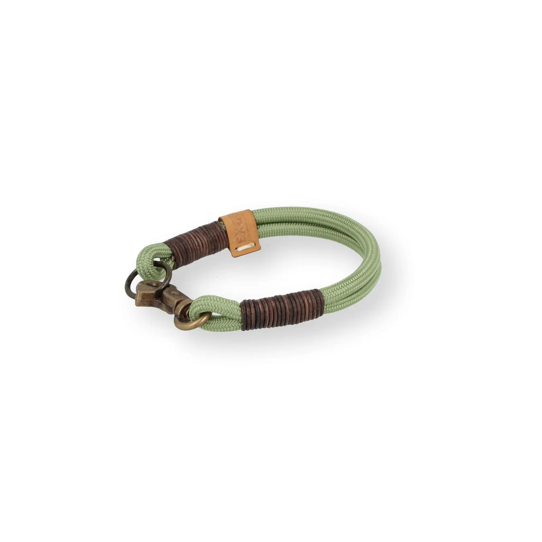 Set small | Tauhalsband und Leine 'Pistachio Grace' Exceptional - Manufaktur mit Herz